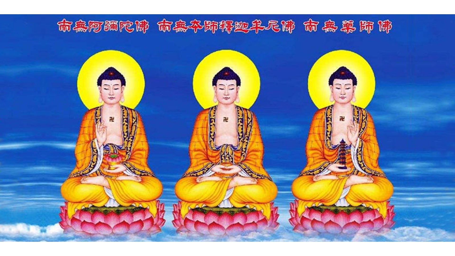 沉香和沉香木的区别