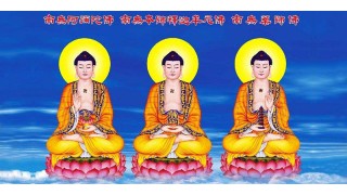 沉香和沉香木的区别