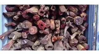 药师佛十二大愿 究竟是何内容 药师佛十二大愿 究竟是何内容