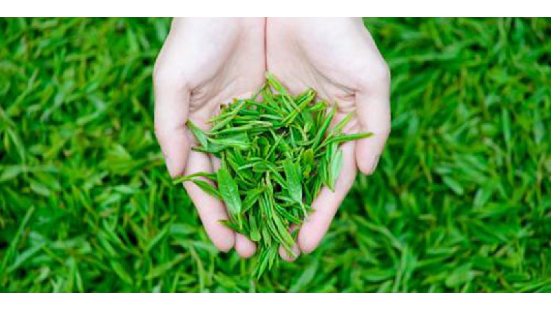 南京国际佛事用品展览会