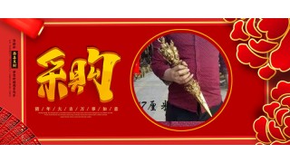 采购黄标纸、泡纸