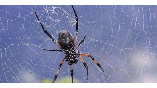 禅经佛理的经典故事:世间最珍贵的 禅经佛理的经典故事:世间最珍贵的