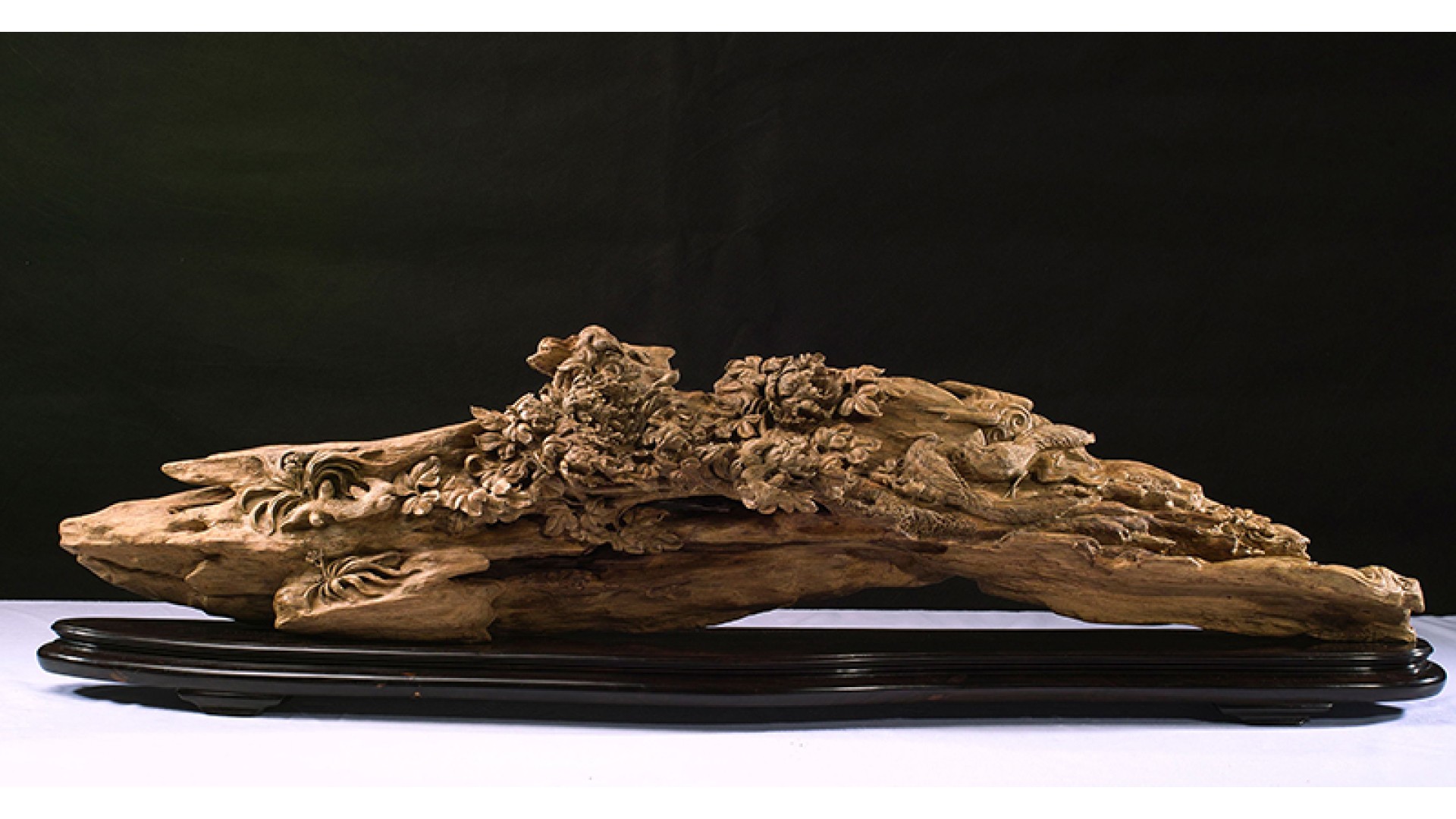 透过佛法看世界：给寻找答案的人