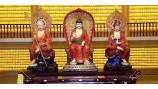 今年的最后一波福利大派送“双旦礼遇季”来啦！！！