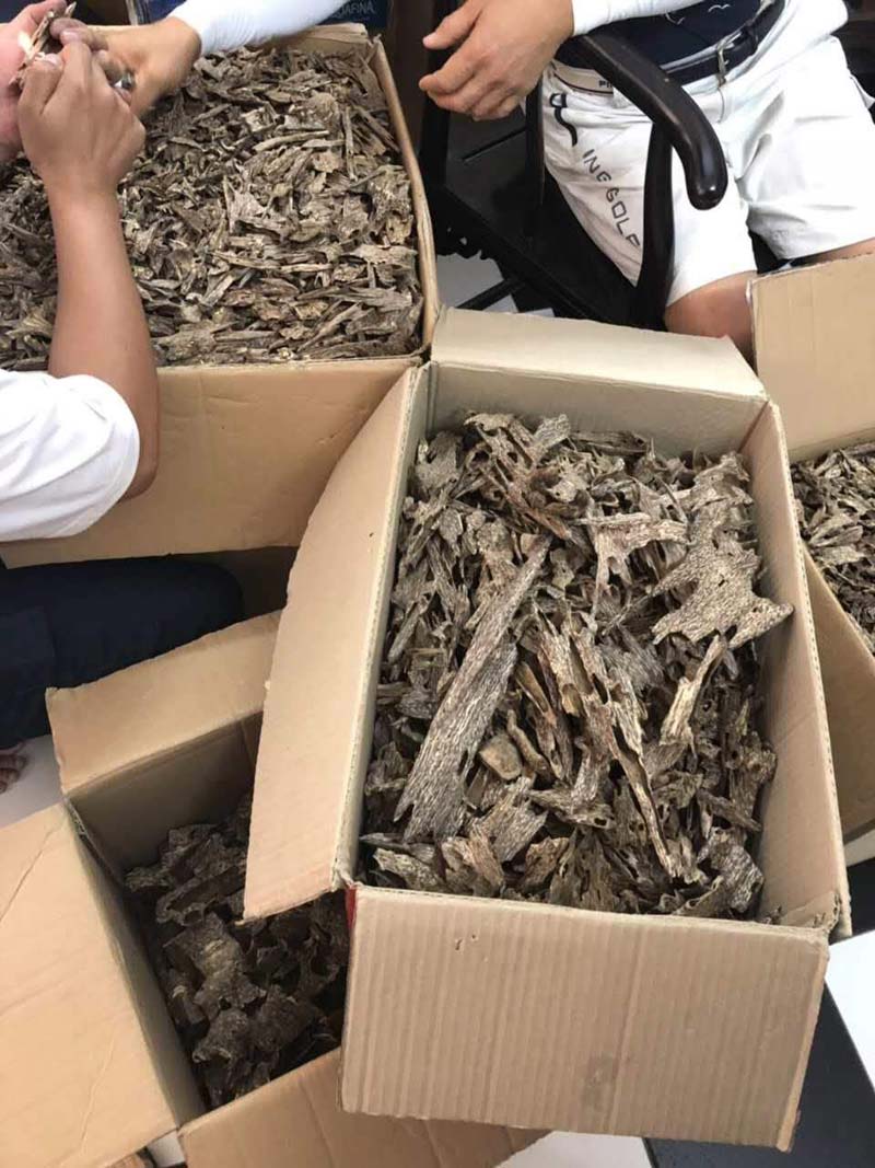 台湾永泰香堂 海南沉綫香