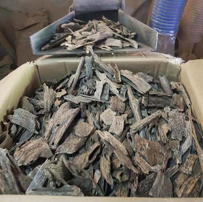 台湾永泰 老芽庄沉綫香