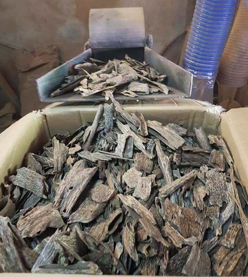 台湾永泰香堂 惠安沉立香