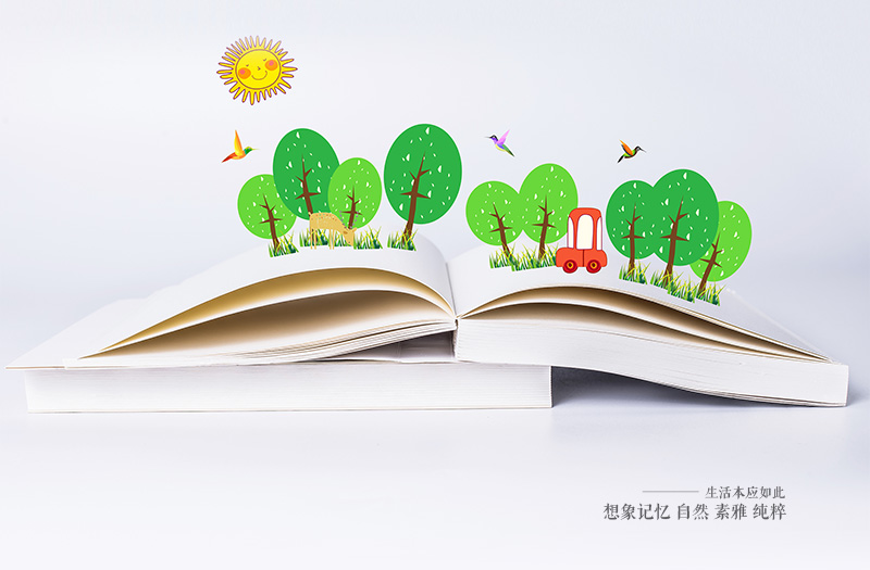 书刊、宣传单海报等各种平面广告设计服务